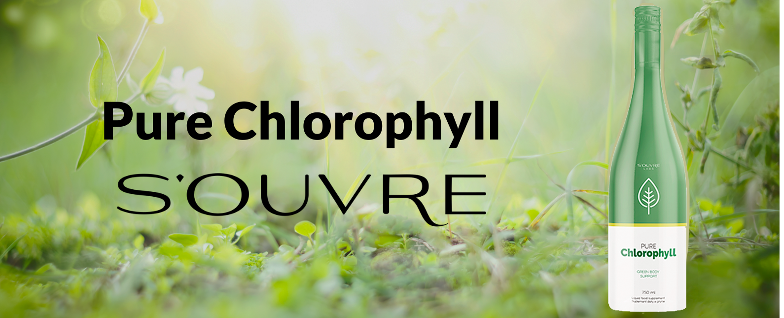 Pure Chlorophyll